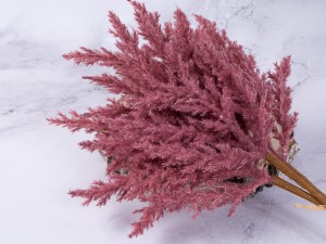 IMG_3147.jpg