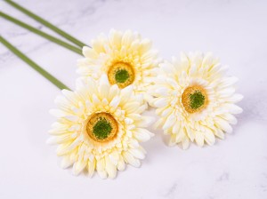 IMG_0987.jpg