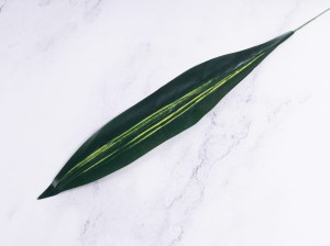 IMG_3860.jpg