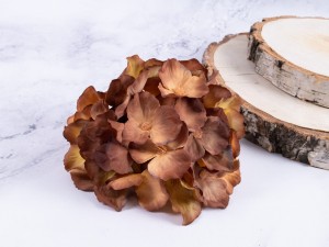 IMG_3911.jpg
