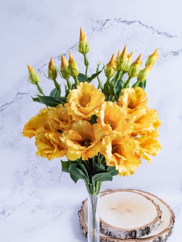 Eustoma Pik EX12 # Żółty/Pomarańcz *2893 (12 szt)