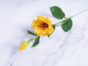 IMG_4049.jpg
