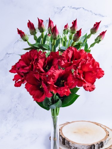 Eustoma Pik EX12 # Głęboka Czerwień (12 szt)