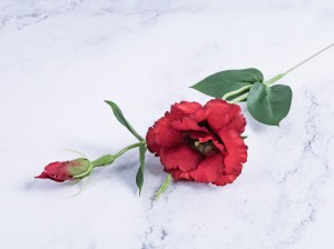 IMG_4043.jpg