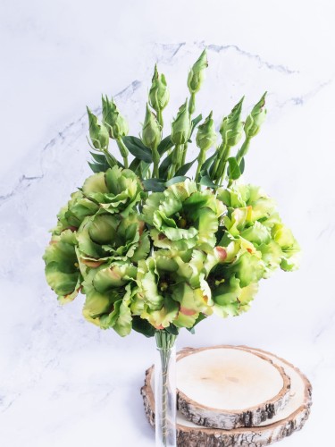 Eustoma Pik EX12 # Zieleń Cieniowana*3123 (12 szt)