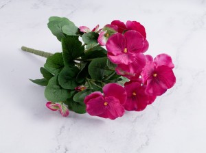 IMG_4098.jpg