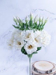 IMG_3982.jpg