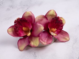 IMG_4287.jpg