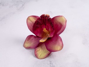 IMG_4289.jpg