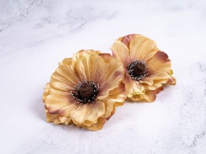 IMG_4357.jpg