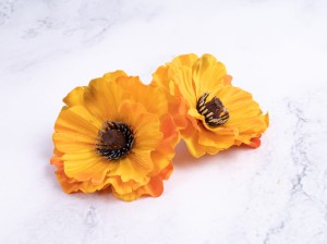 IMG_4348.jpg