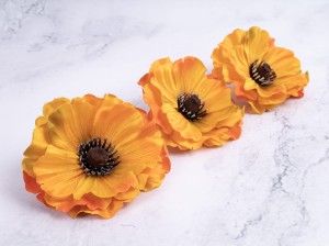 IMG_4347.jpg