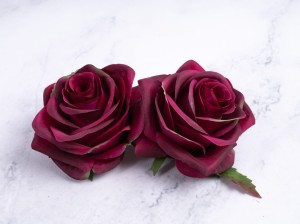 IMG_4484.jpg
