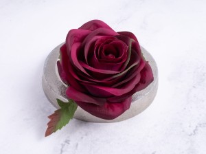 IMG_4519.jpg
