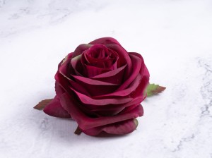 IMG_4521.jpg
