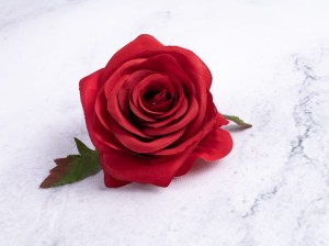 IMG_4513.jpg