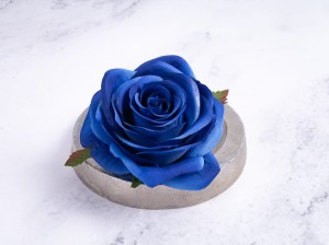 IMG_4517.jpg