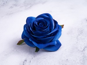IMG_4515.jpg