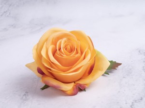 IMG_4527.jpg