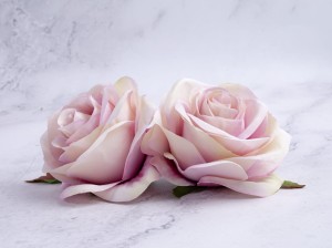 IMG_4448.jpg