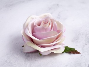 IMG_4497.jpg