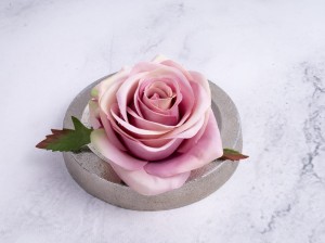 IMG_4505.jpg