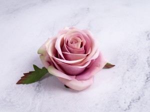 IMG_4504.jpg