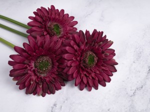 IMG_4570.jpg
