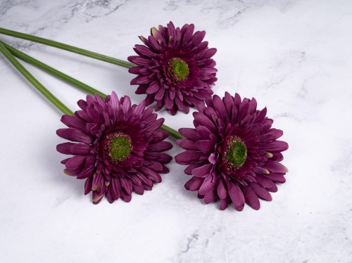 Gerbera Gałązka SG72 # Purpurowy*3172 (6 szt)