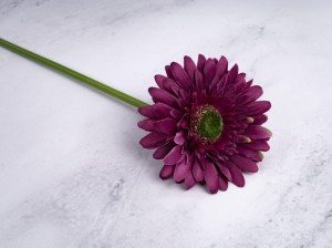 IMG_4573.jpg