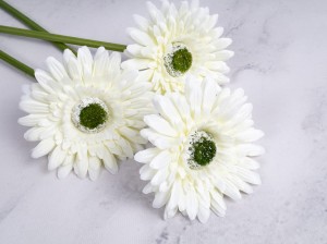 IMG_4571.jpg