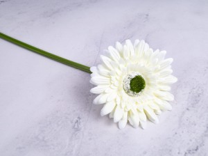 IMG_4574.jpg