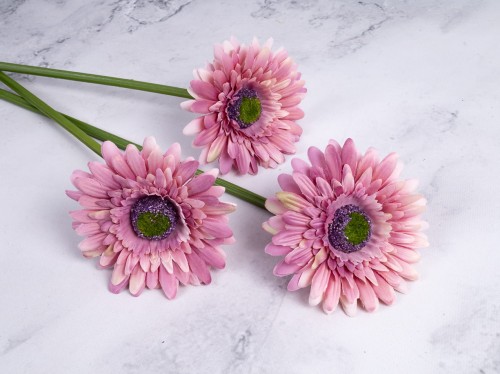 Gerbera Gałązka SG72 #  Przygaszony Róż*3042 (6 szt)