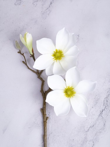 Magnolia Gałązka 06MG # Biel/Krem (1 szt)