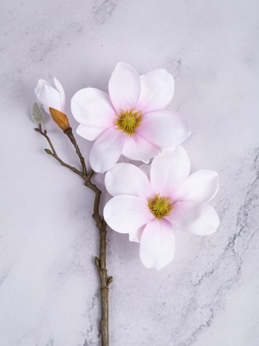 Magnolia Gałązka KRÓTKA 06MG # Krem/Jasny Róż (1 szt)
