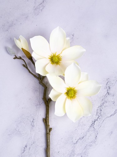 Magnolia Gałązka 06MG # Delikatna Vanilla (1 szt)