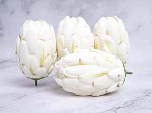 IMG_4664.jpg