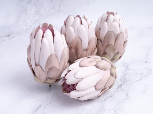 Karczoch/PROTEA Wyrobowa K29 # Cafe Latte (6szt)