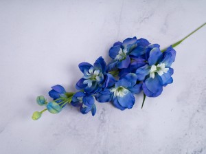 IMG_4762.jpg