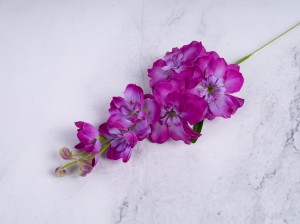 IMG_4759.jpg