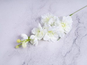 IMG_4778.jpg