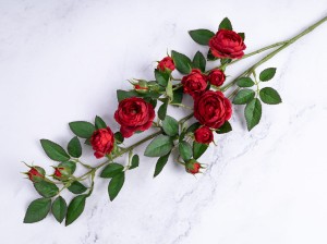 IMG_4926.jpg