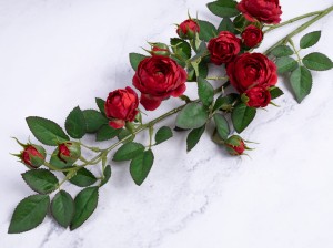 IMG_4927.jpg