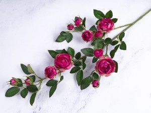 IMG_4901.jpg