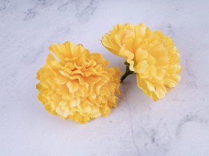 IMG_5229.jpg