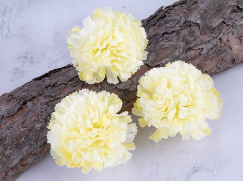 IMG_5203.jpg