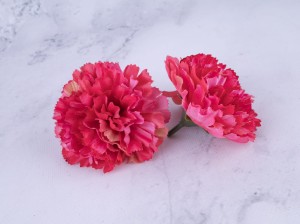 IMG_5224.jpg