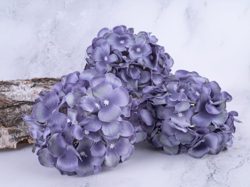 Hortensja Wyrobowa HN75  # Przygaszony Fiolet/Mięta (6 szt)