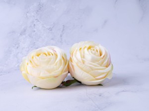 IMG_5636.jpg