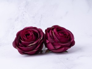 IMG_5637.jpg